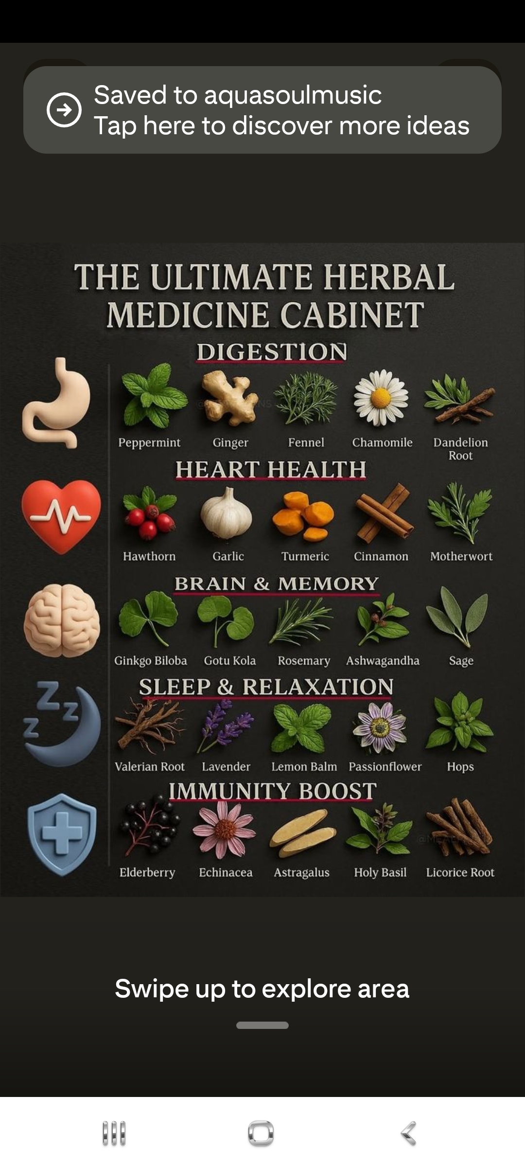 The Ultimate Herbal Medicine Cabinet — Digestion, Heart Health, Brain and Memory, Sleep, Immunity