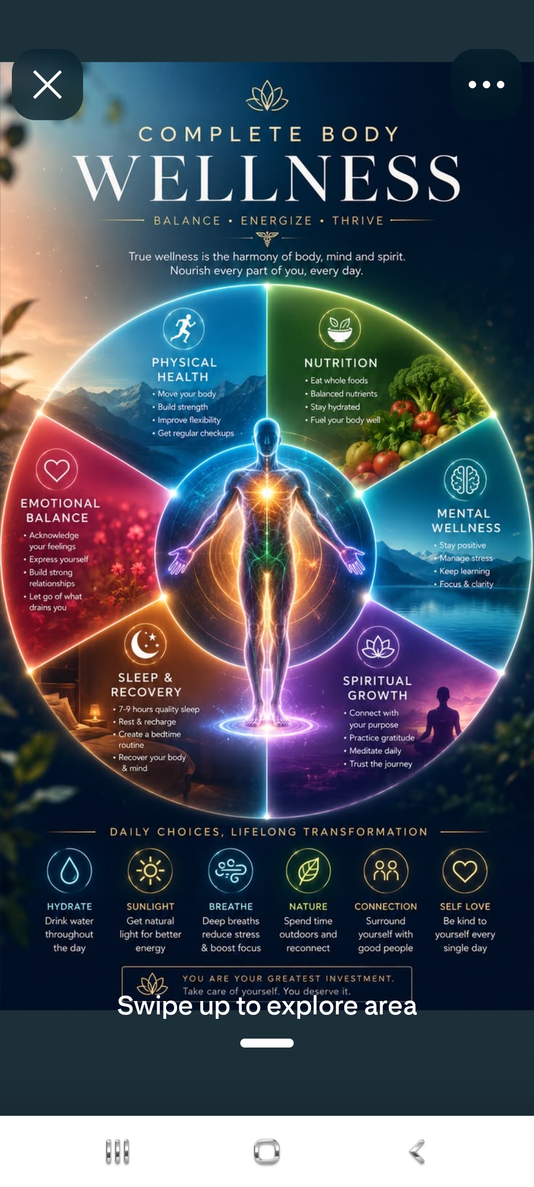 Complete Body Wellness — Balance Energise Thrive