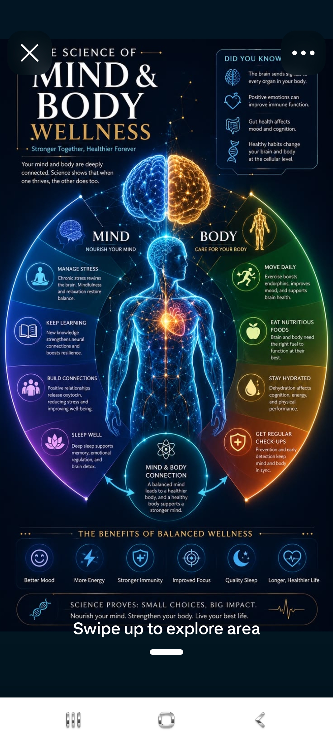 The Science of Mind and Body Wellness