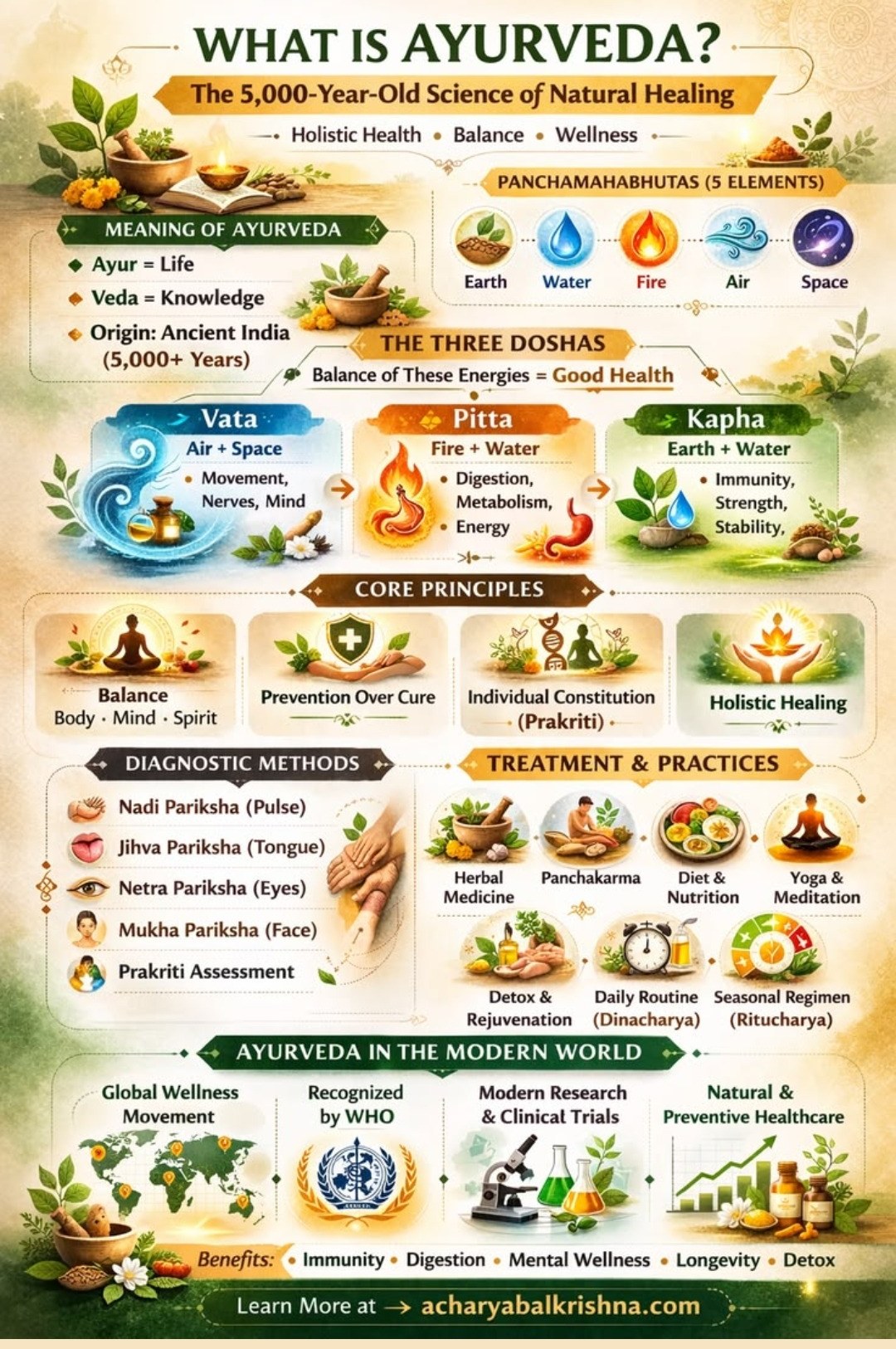 Healing Herbs — Nature's Medicine Cabinet