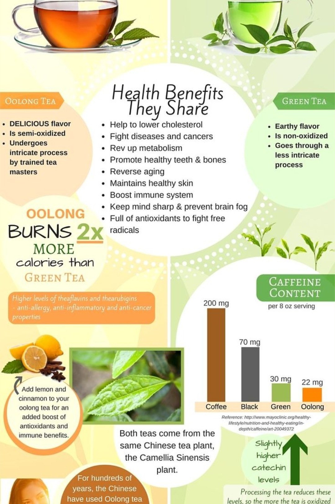 Oolong vs Green Tea — Benefits, Caffeine, Antioxidants