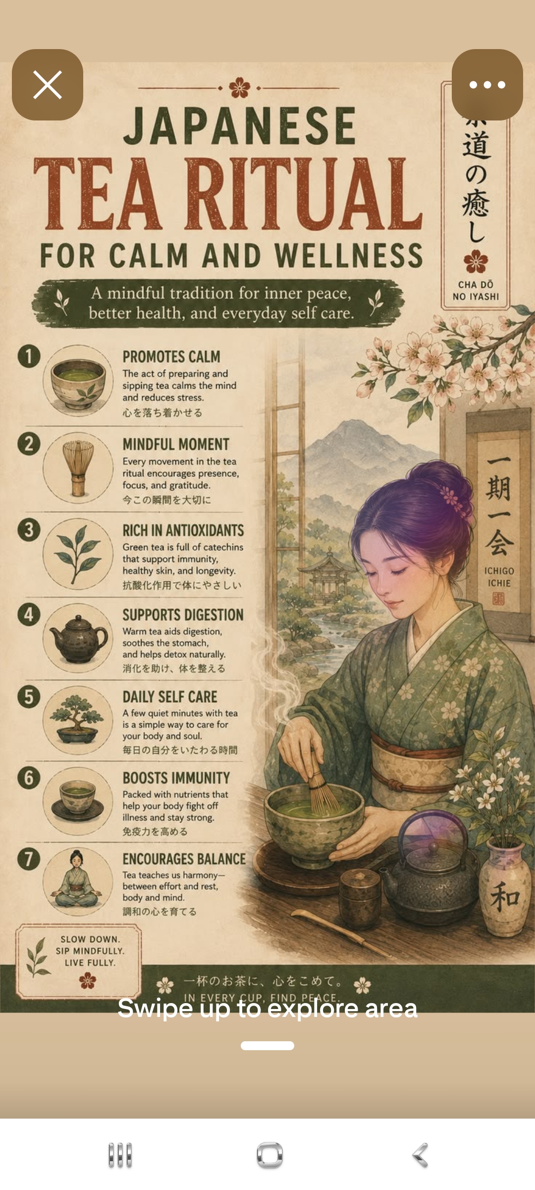 Japanese Tea Ritual for Calm and Wellness — Cha Do No Iyashi