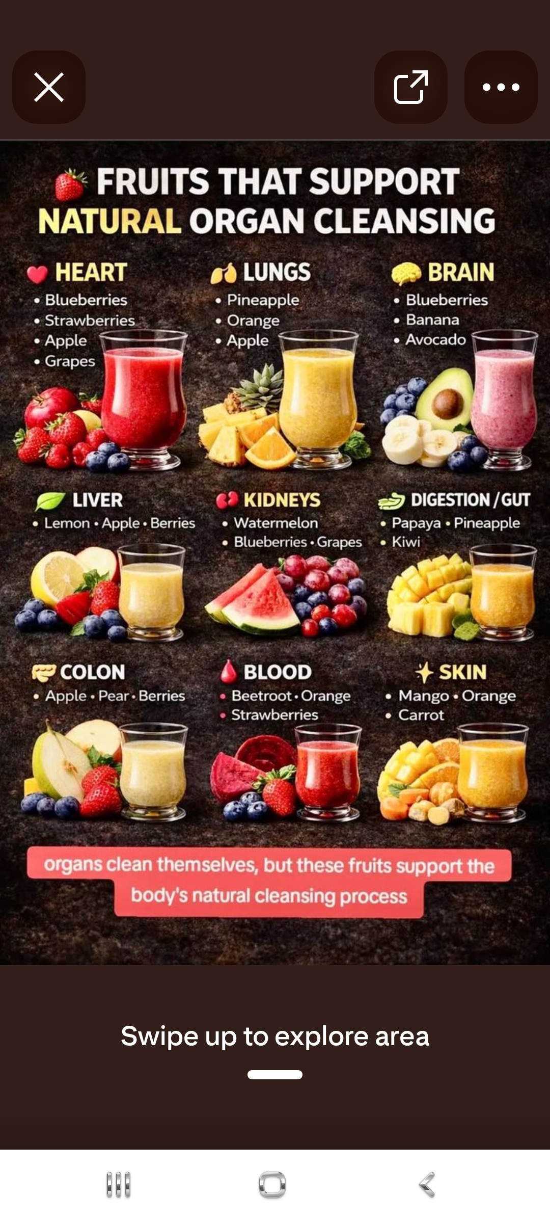 Fruits That Support Natural Organ Cleansing — Heart, Lungs, Brain, Liver, Kidneys, Digestion, Colon, Blood, Skin