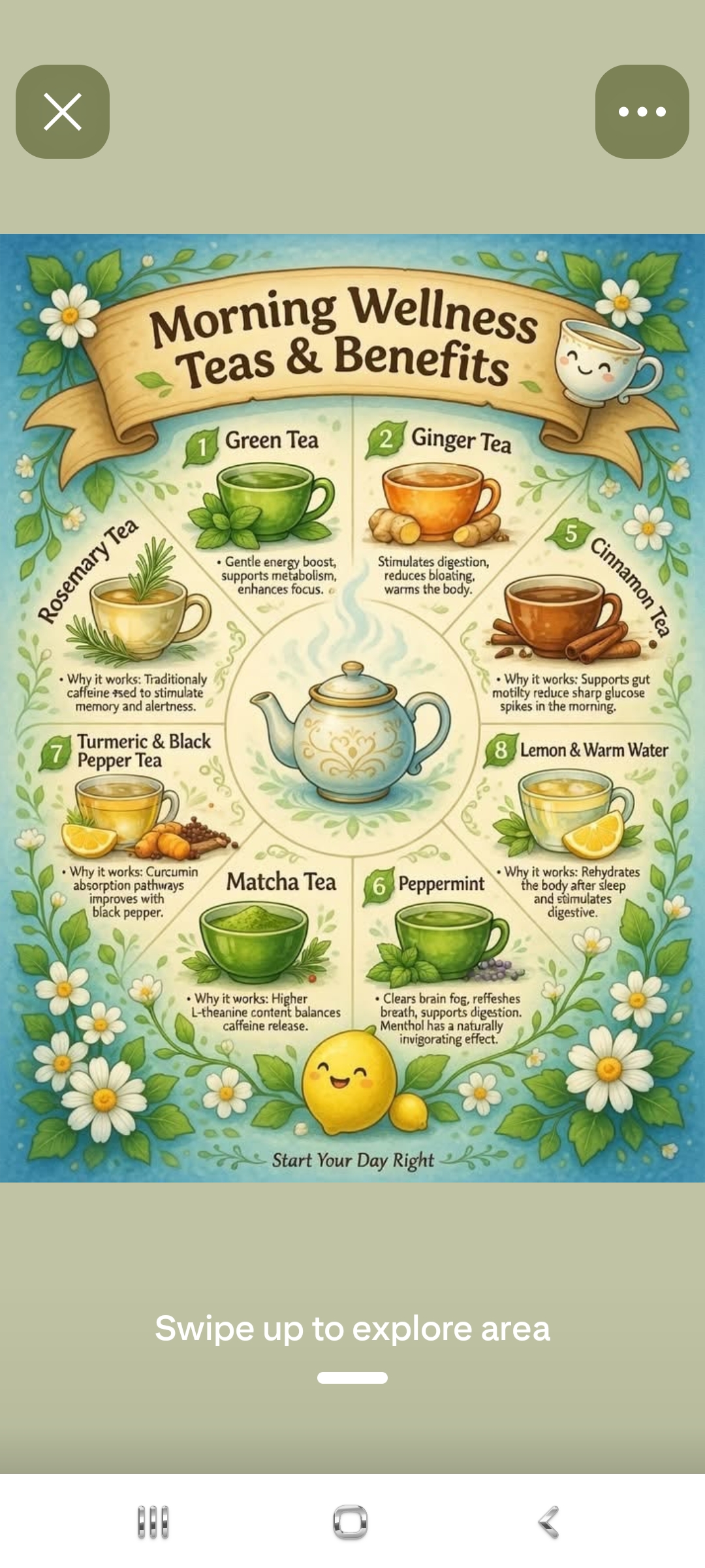 Morning Wellness Teas and Benefits