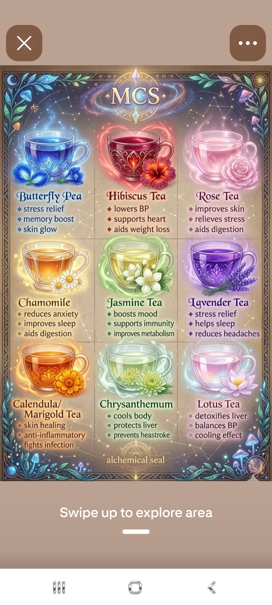 MCS Sacred Teas — Butterfly Pea, Hibiscus, Rose, Chamomile, Jasmine, Lavender, Calendula, Chrysanthemum, Lotus