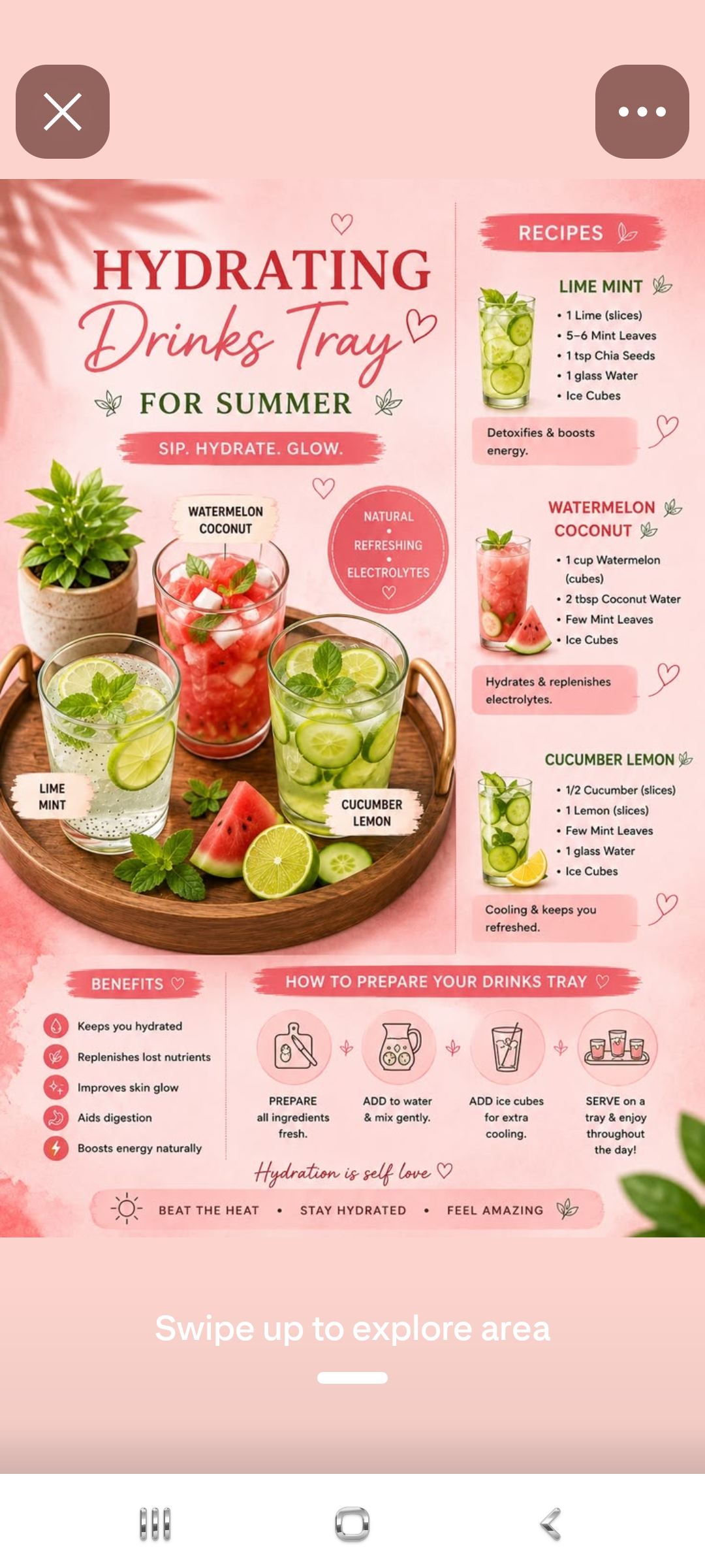 Hydrating Drinks Tray for Summer — Watermelon Coconut, Lime Mint, Cucumber Lemon