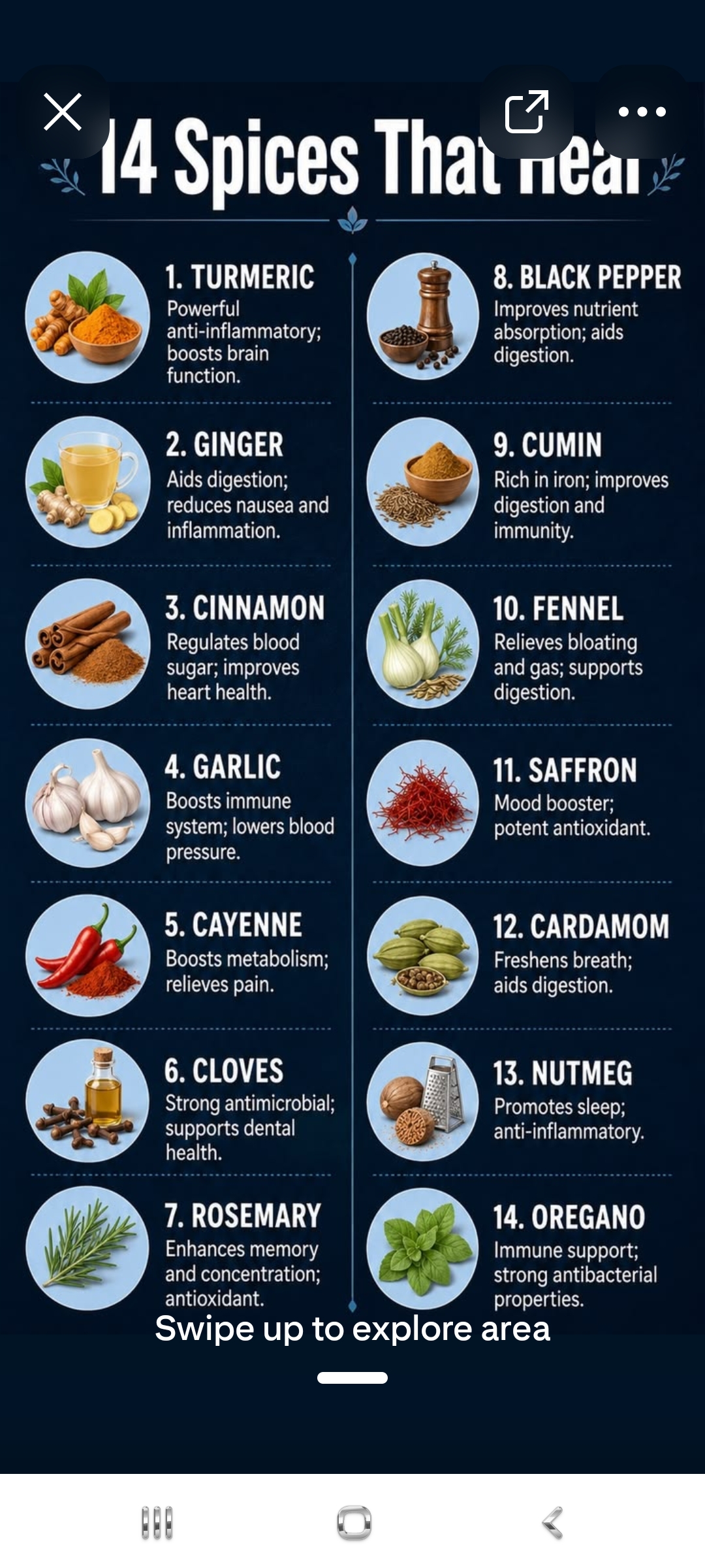 14 Spices That Heal — Turmeric, Ginger, Cinnamon, Garlic, Cayenne, Cloves, Rosemary, Black Pepper, Cumin, Fennel, Saffron, Cardamom, Nutmeg, Oregano