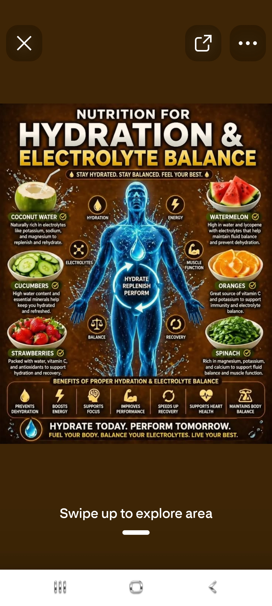 Nutrition for Hydration and Electrolyte Balance — Coconut Water, Watermelon, Spinach, Strawberries