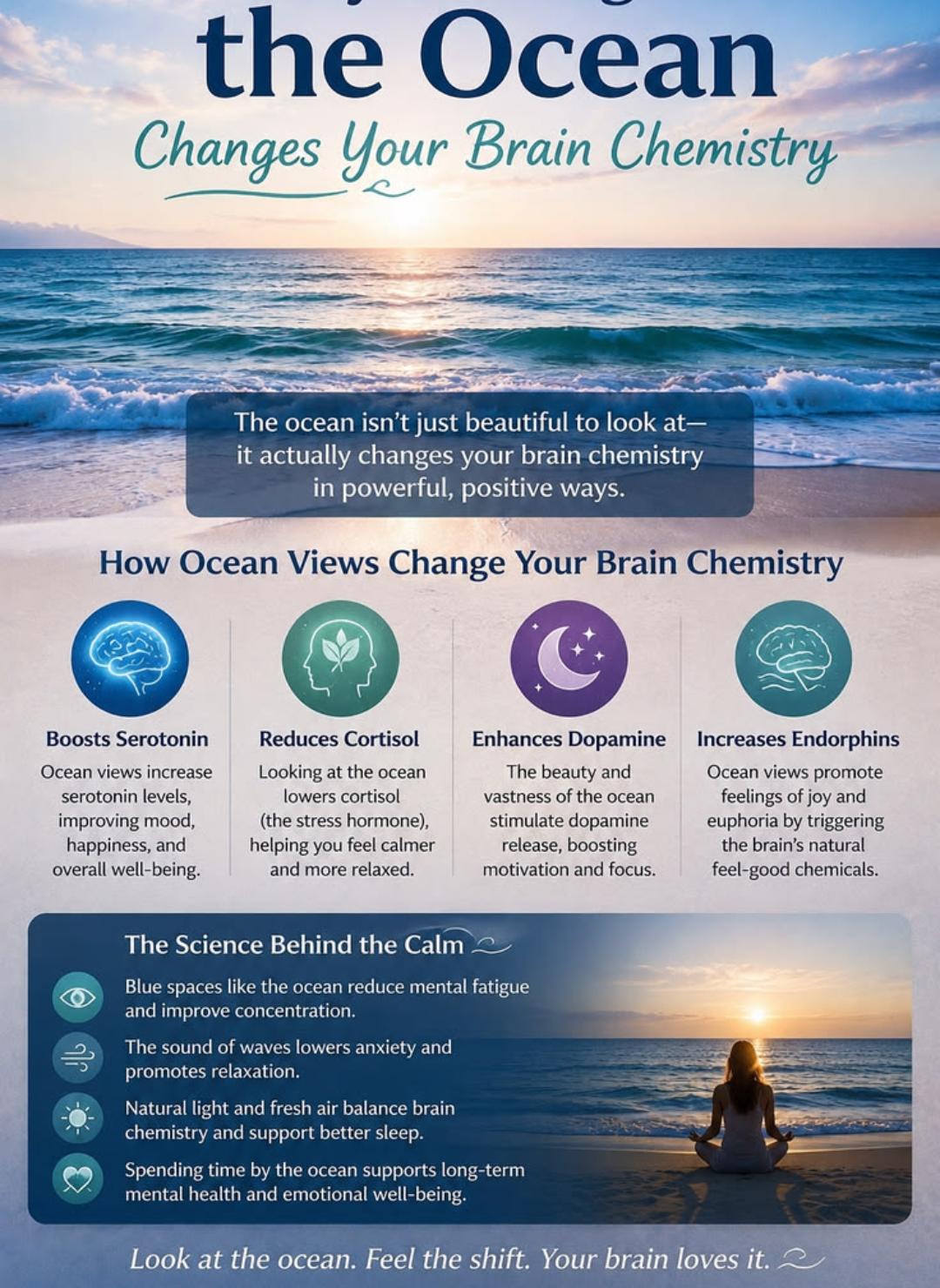 Why looking at the ocean changes your brain chemistry