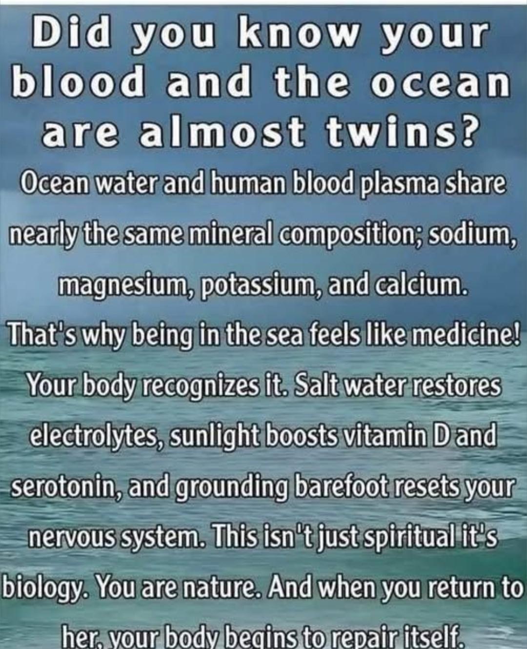 Did you know your blood and the ocean are almost twins