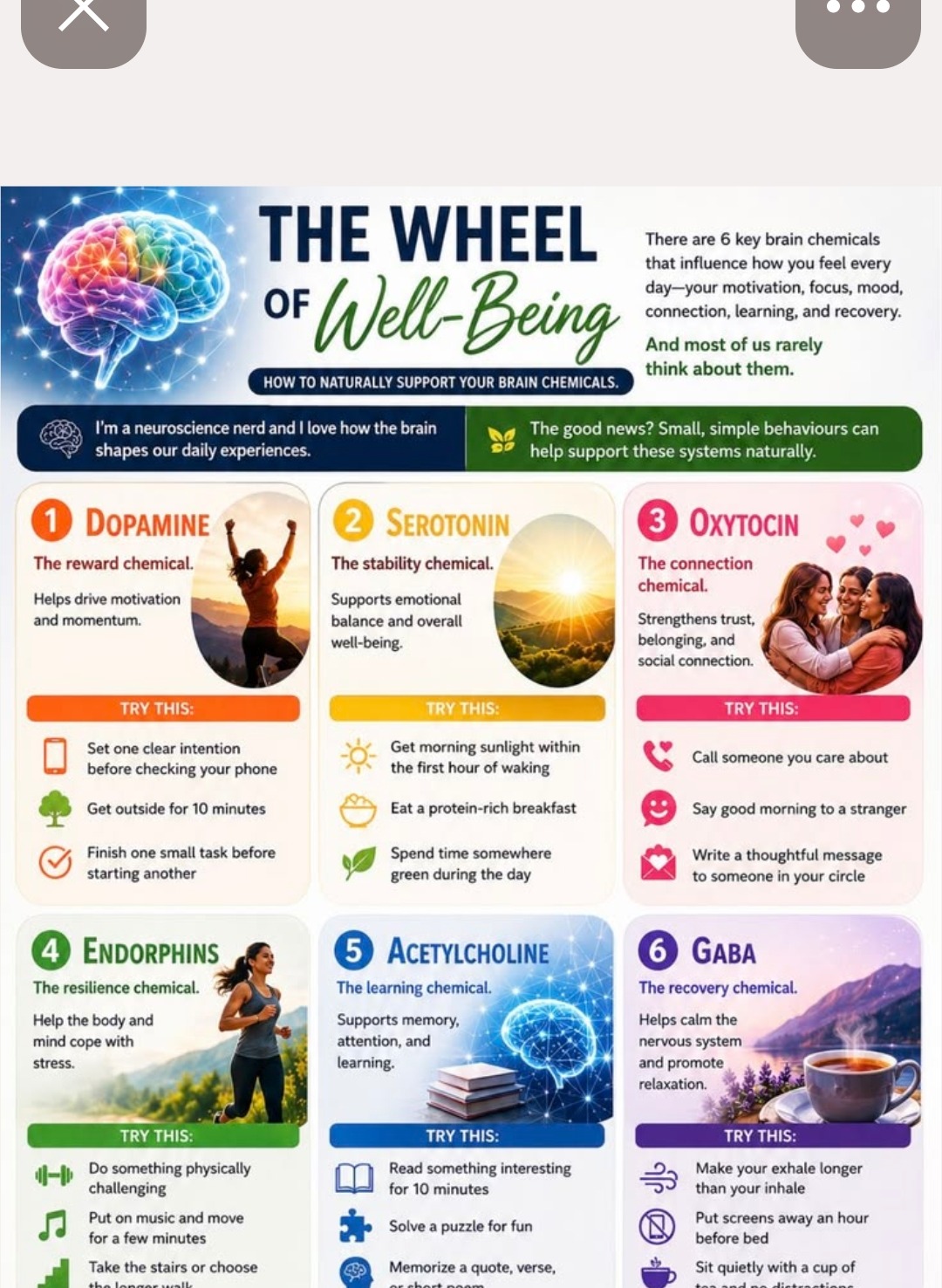 The Wheel of Well-Being — how to naturally support your 6 brain chemicals: Dopamine the reward chemical, Serotonin the stability chemical, Oxytocin the connection chemical, Endorphins the resilience chemical, Acetylcholine the learning chemical, GABA the recovery chemical