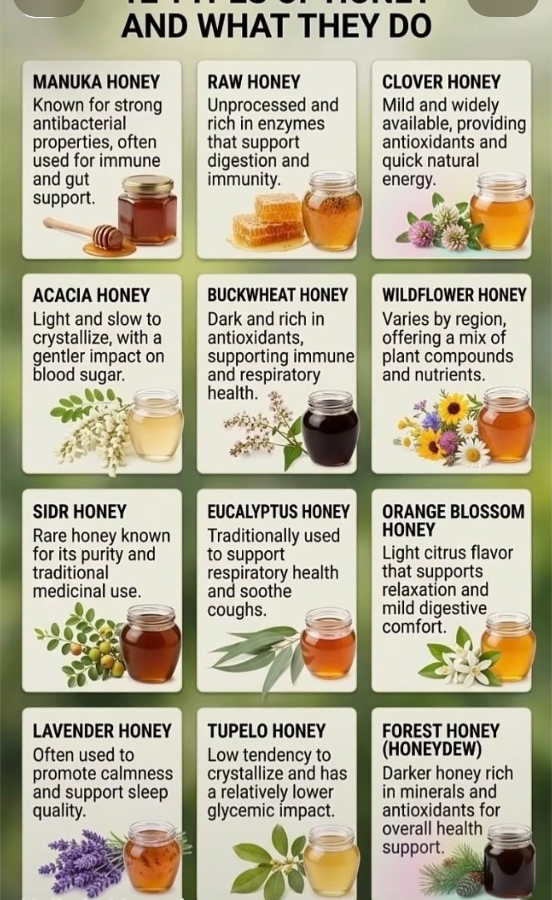 12 types of honey and what they do — Manuka honey for immune and gut support, Raw honey rich in enzymes, Clover honey for quick natural energy, Lavender honey for calmness and sleep, Acacia honey gentler on blood sugar, Buckwheat honey for immune and respiratory health