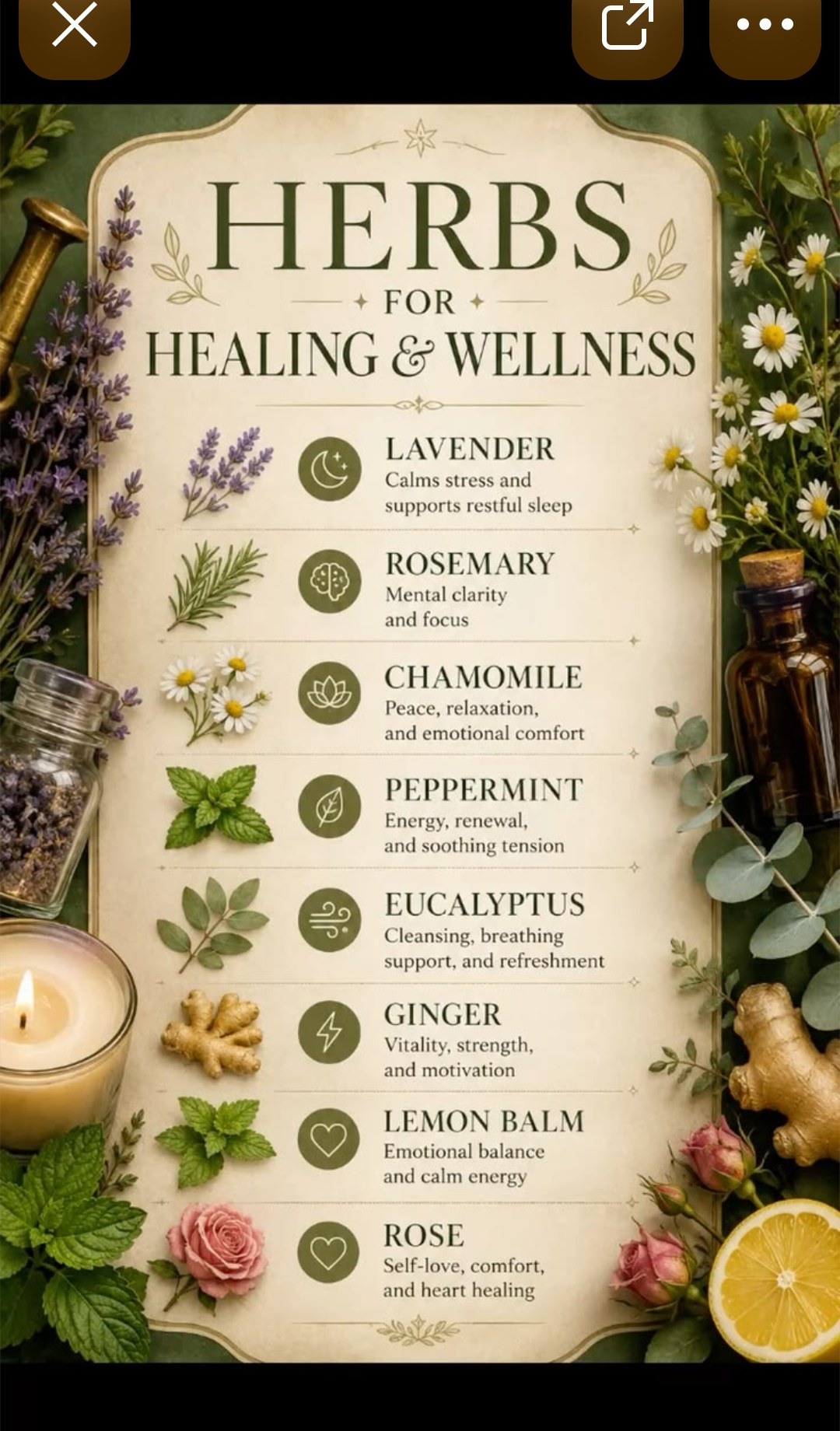 Herbs for Healing and Wellness — lavender calms stress and supports sleep, rosemary for mental clarity, chamomile peace and relaxation, peppermint energy and soothing tension, eucalyptus cleansing and breathing, ginger vitality and strength, lemon balm emotional balance, rose self-love and heart healing