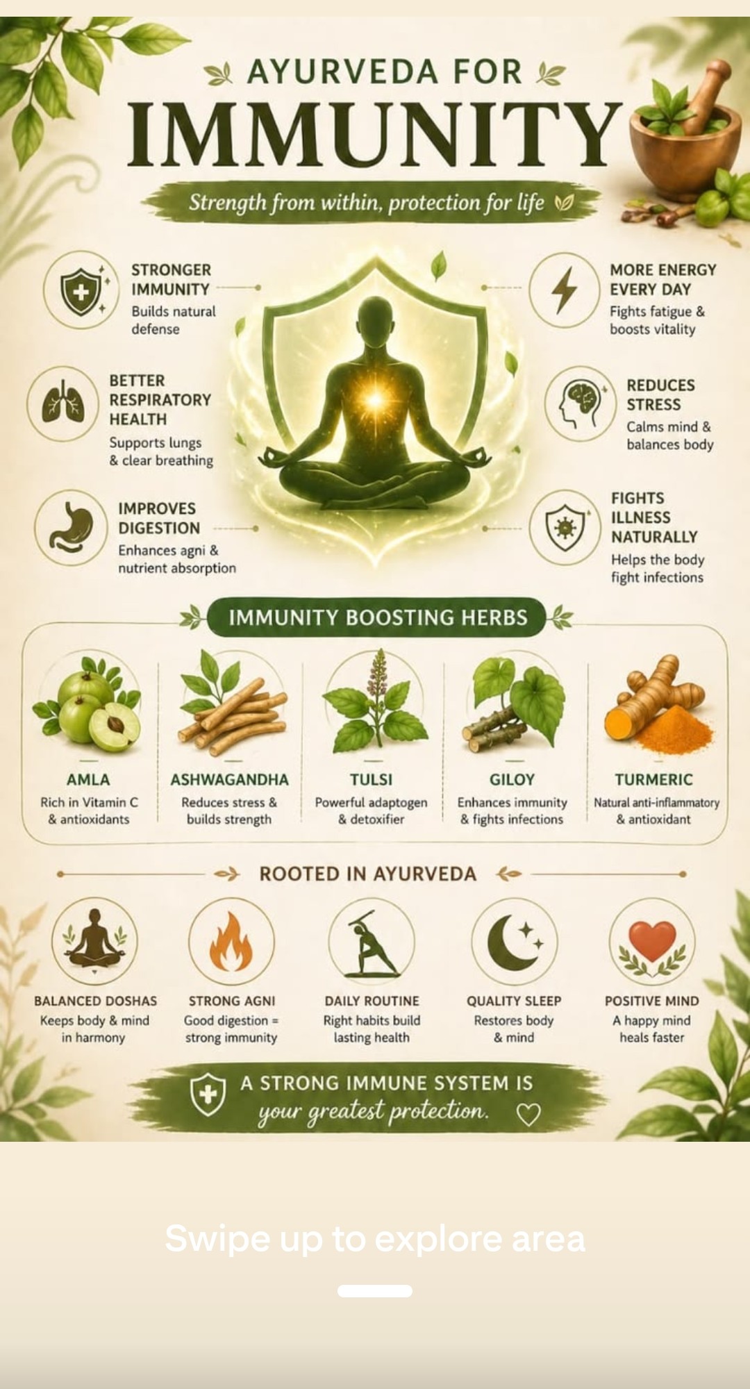 Ayurveda for Immunity — Amla Ashwagandha Tulsi Giloy Turmeric strength from within