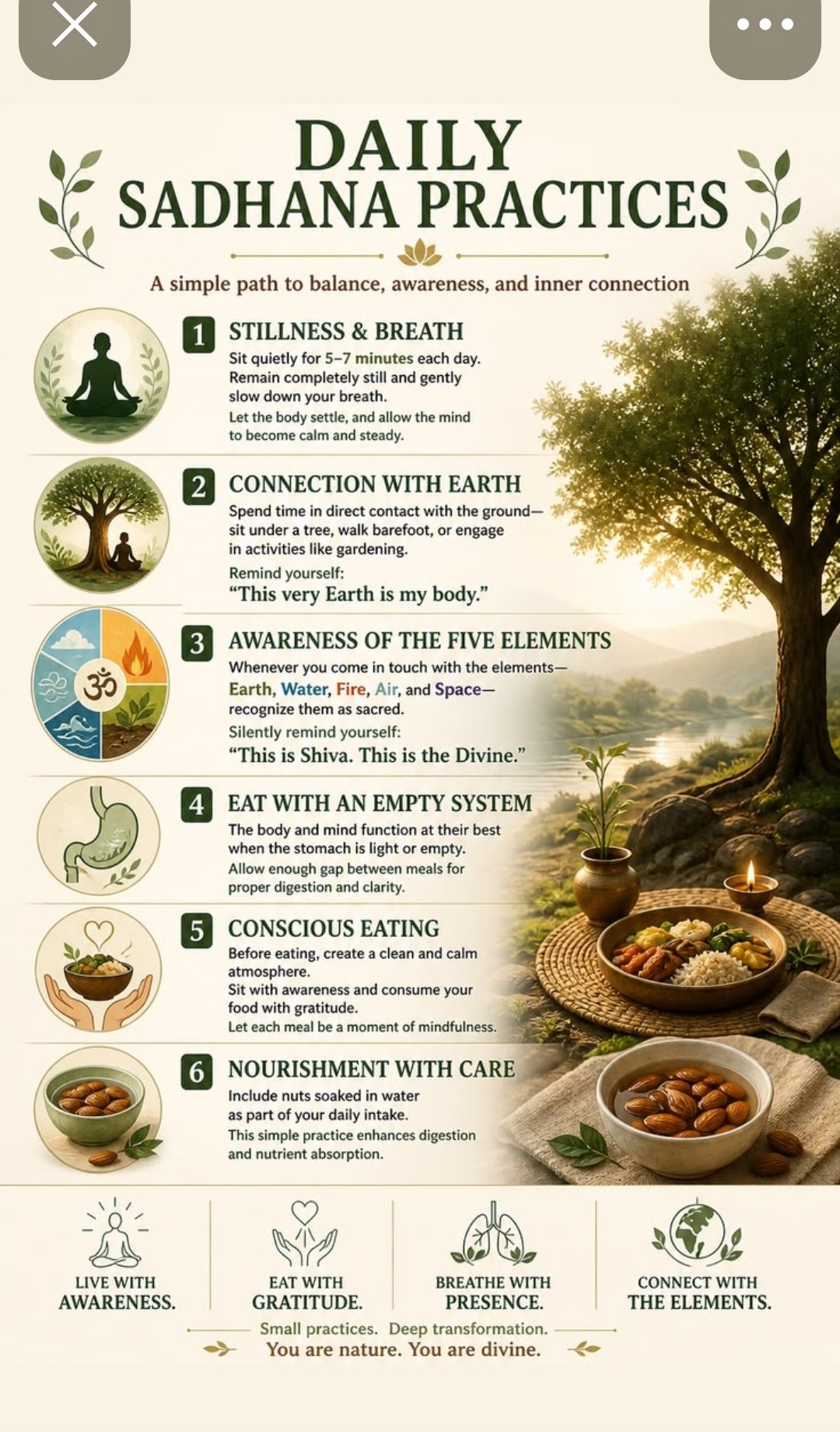 Daily Sadhana Practices — stillness and breath, connection with earth, awareness of five elements, eat with empty system, conscious eating, nourishment with care