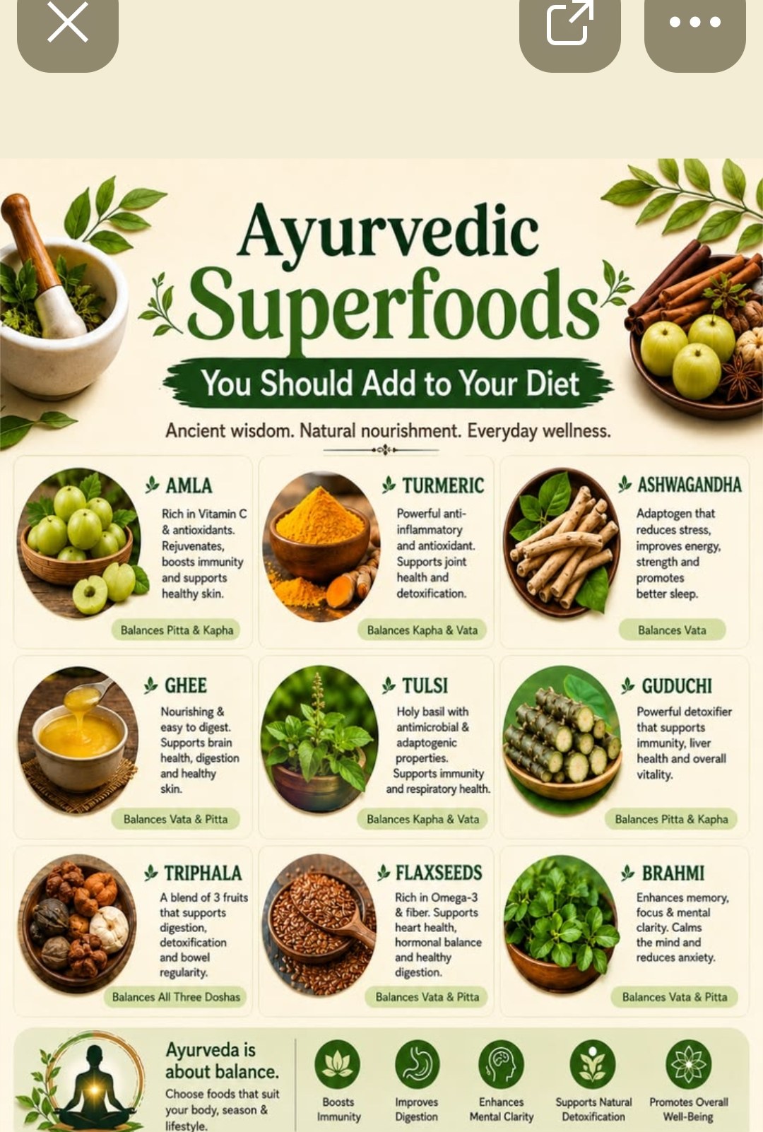 Ayurvedic superfoods and healing spices — the foundation of the Nutrition Library