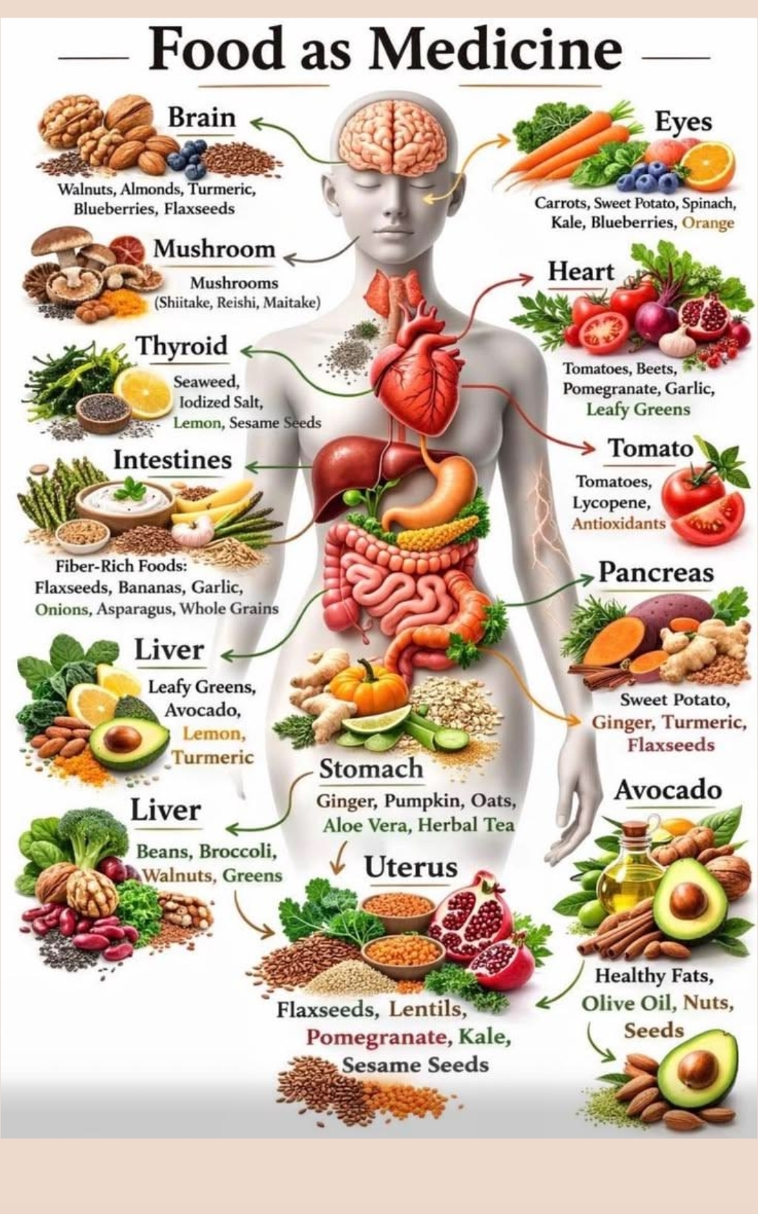 Food as Medicine — organ by organ guide to brain, eyes, heart, thyroid, liver, intestines, stomach, pancreas, uterus foods