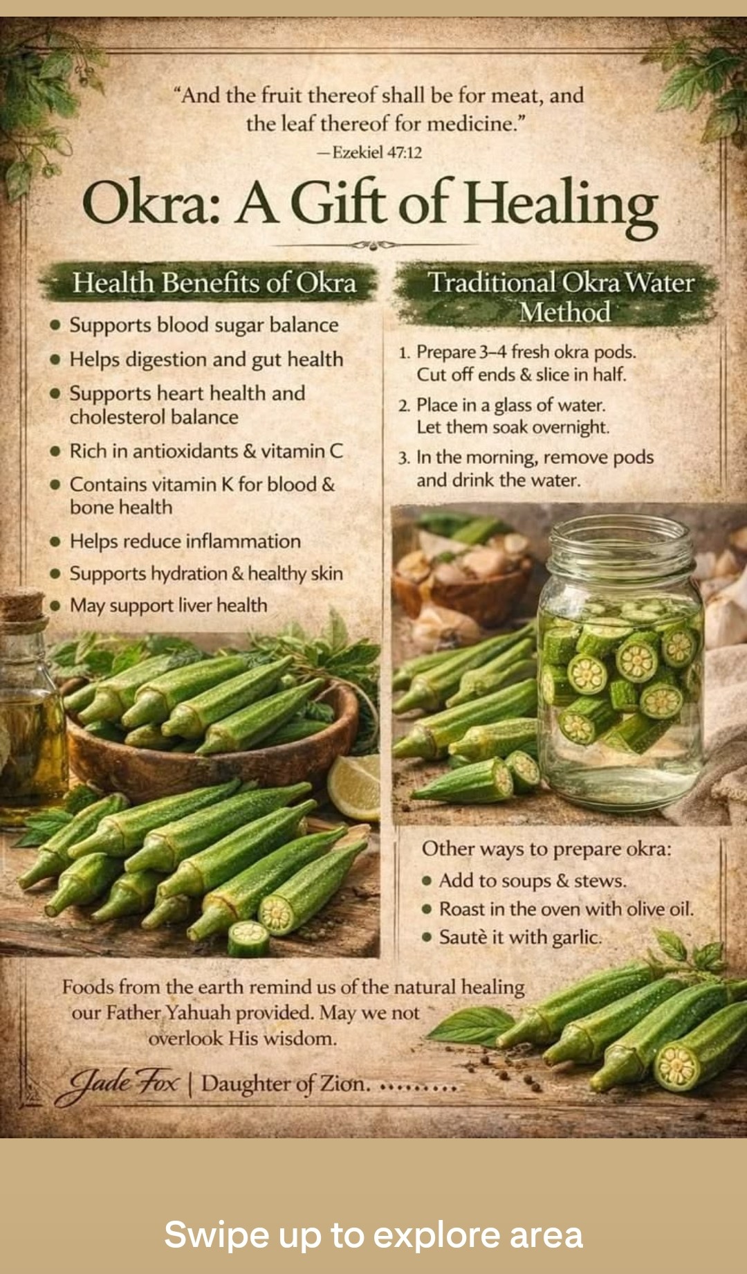 Okra: A Gift of Healing — supports blood sugar balance, helps digestion and gut health, supports heart health and cholesterol balance, rich in antioxidants and vitamin C, contains vitamin K, helps reduce inflammation, supports hydration and healthy skin, may support liver health