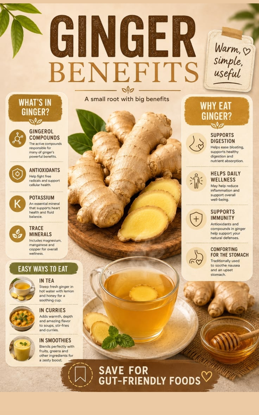 Ginger benefits — a small root with big benefits, gingerol compounds, easy ways to eat