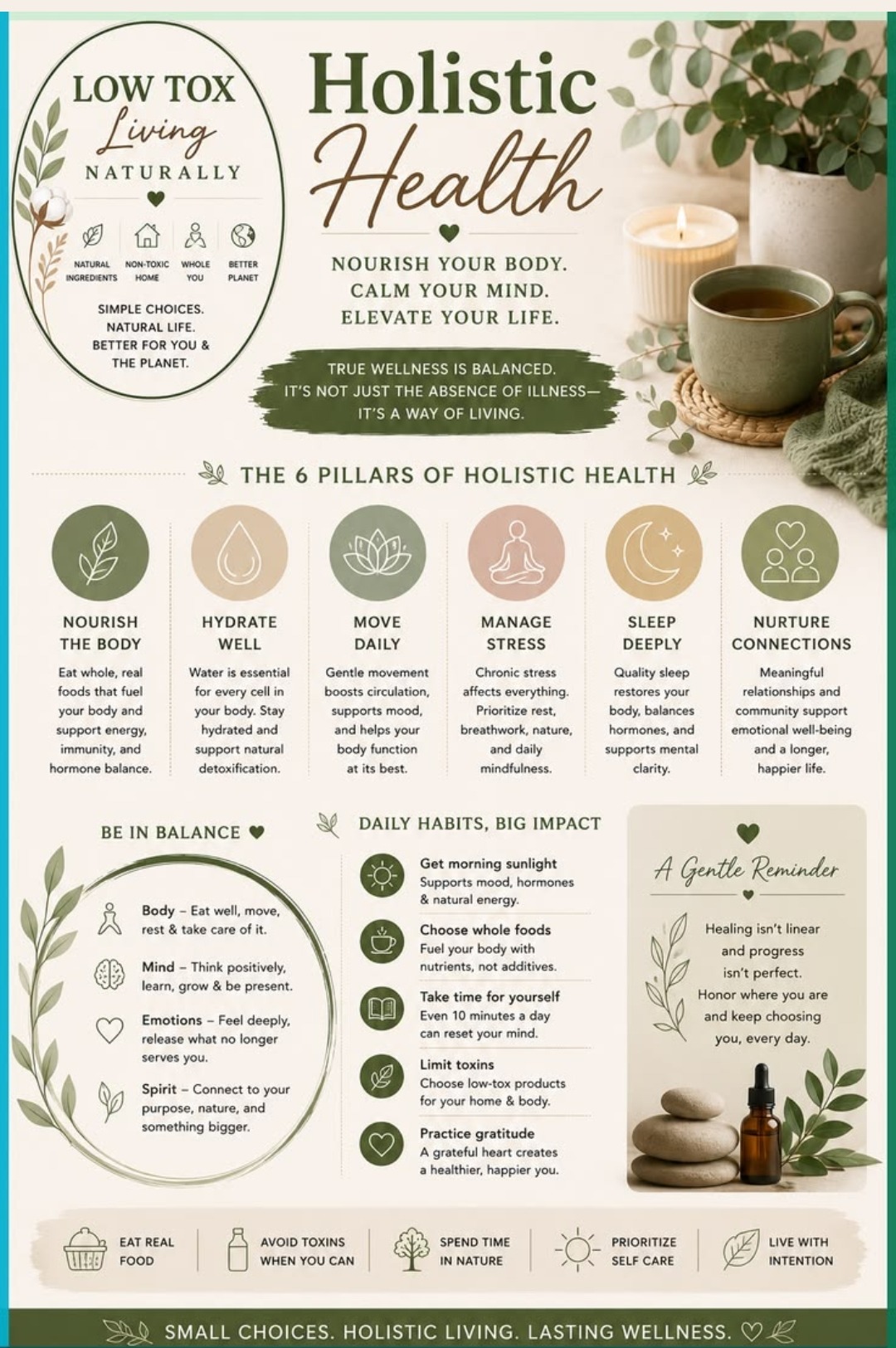 The six pillars of holistic health — nourish the body, hydrate well, move daily, manage stress, sleep deeply, nurture connections