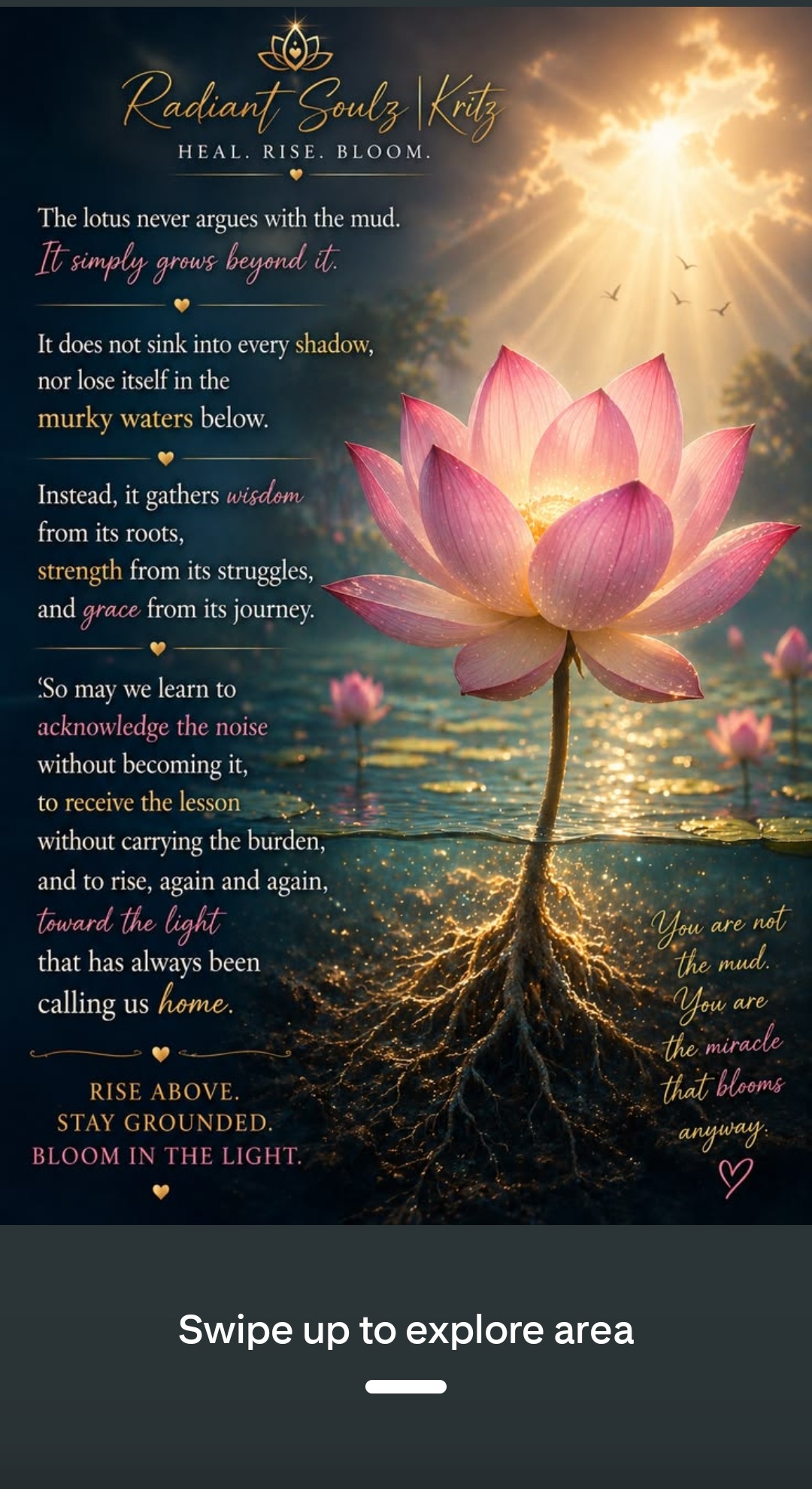 The lotus never argues with the mud, it simply grows beyond it — you are not the mud, you are the miracle that blooms anyway