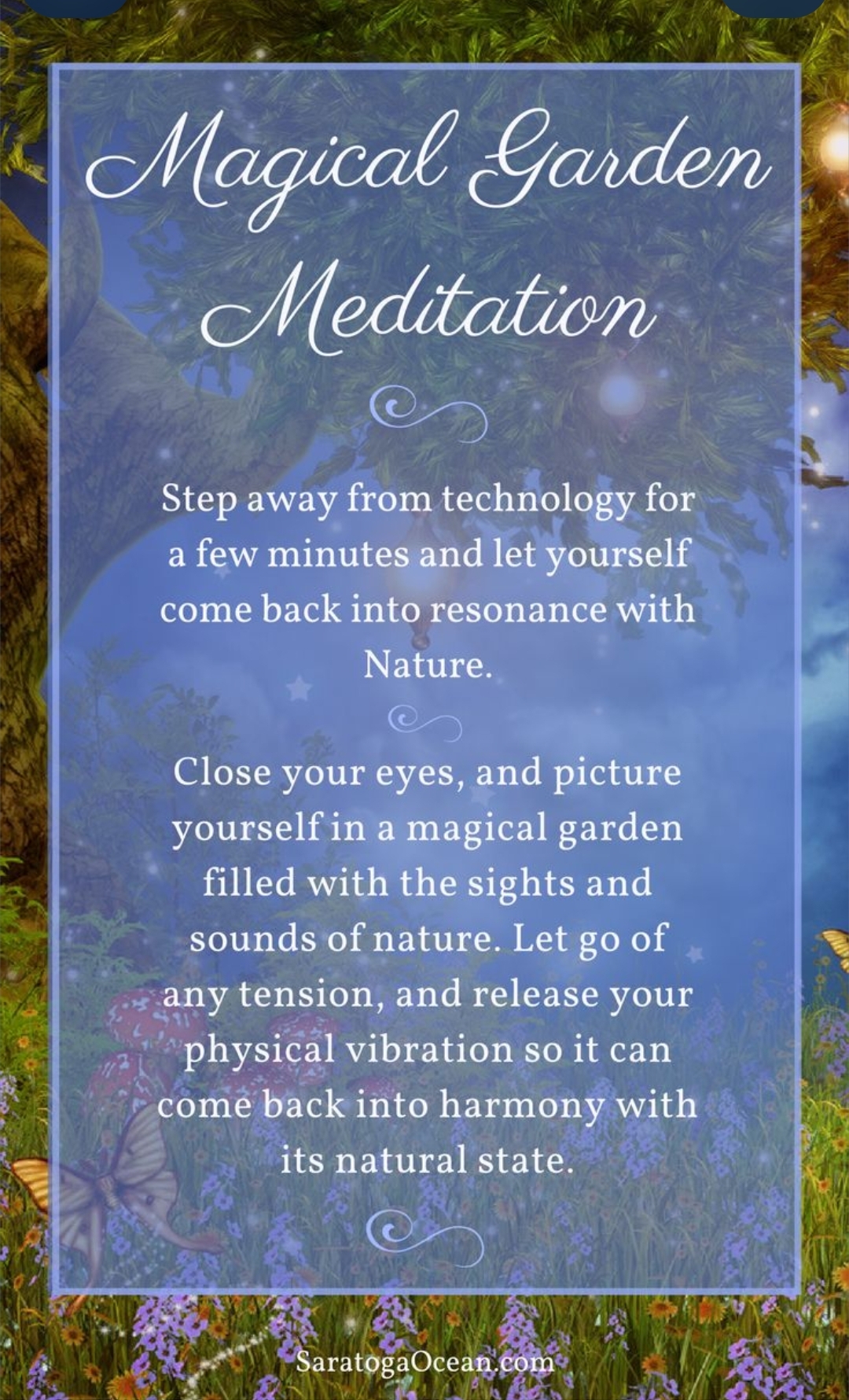 Magical garden meditation — step away from technology and return to resonance with nature