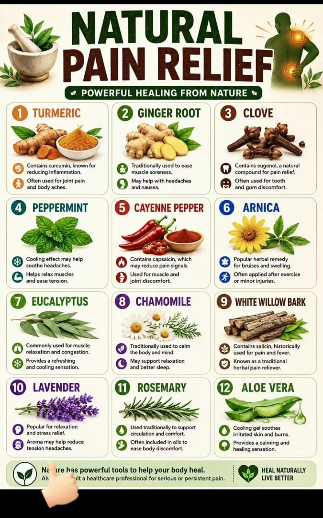 Natural pain relief — powerful healing from nature — turmeric, ginger root, clove, peppermint, cayenne pepper, arnica, eucalyptus, chamomile, white willow bark, lavender, rosemary, aloe vera