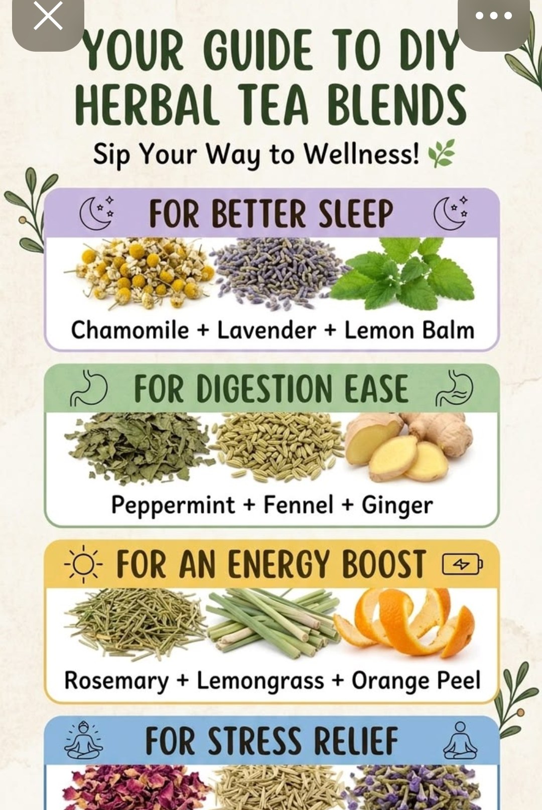 DIY Herbal Tea Blends — for better sleep chamomile lavender lemon balm, for digestion ease peppermint fennel ginger, for energy boost rosemary lemongrass orange peel, for stress relief rose petals oatstraw skullcap