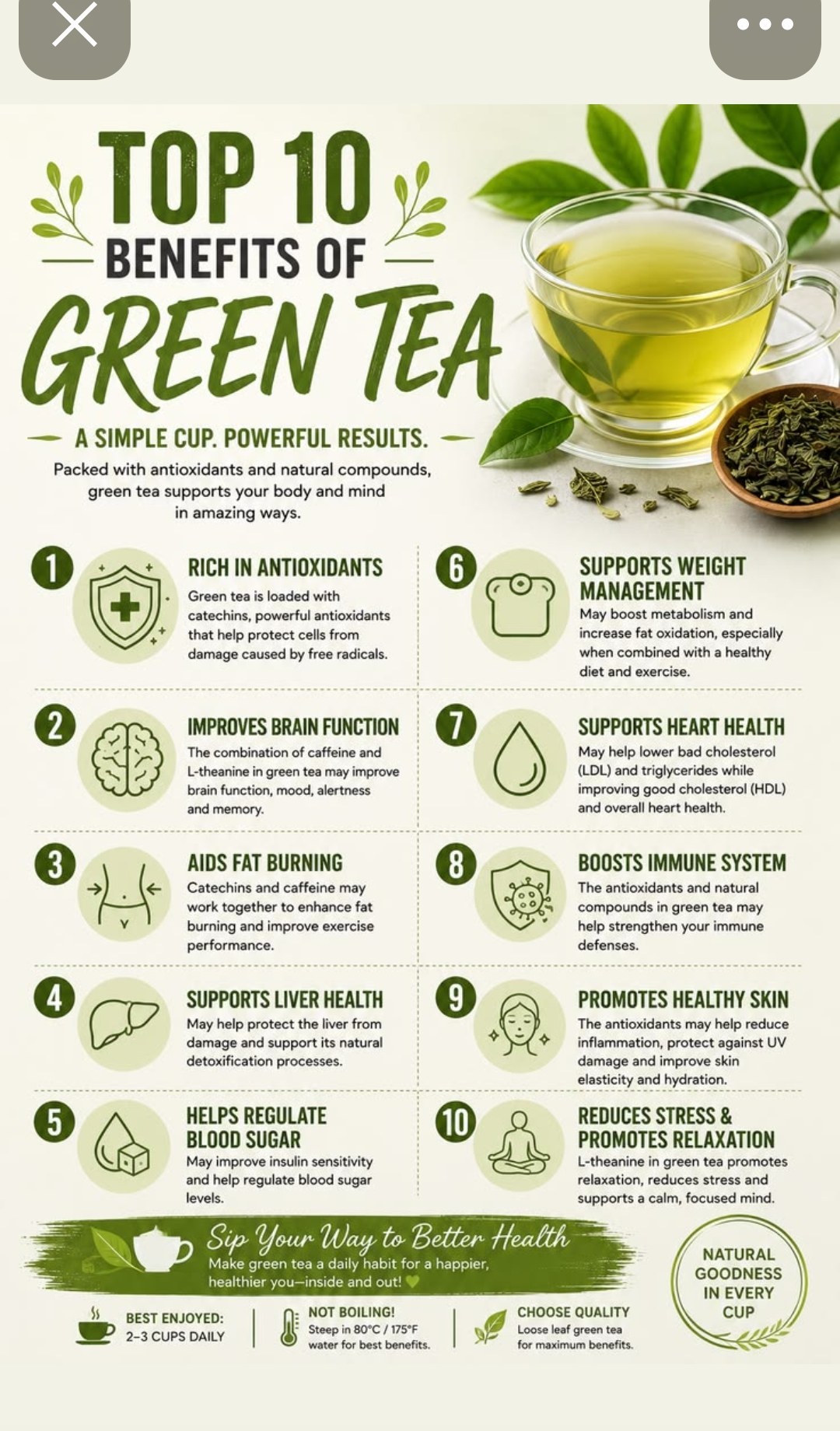Top 10 Benefits of Green Tea — antioxidants brain function fat burning liver health blood sugar weight management heart health immune skin stress relaxation