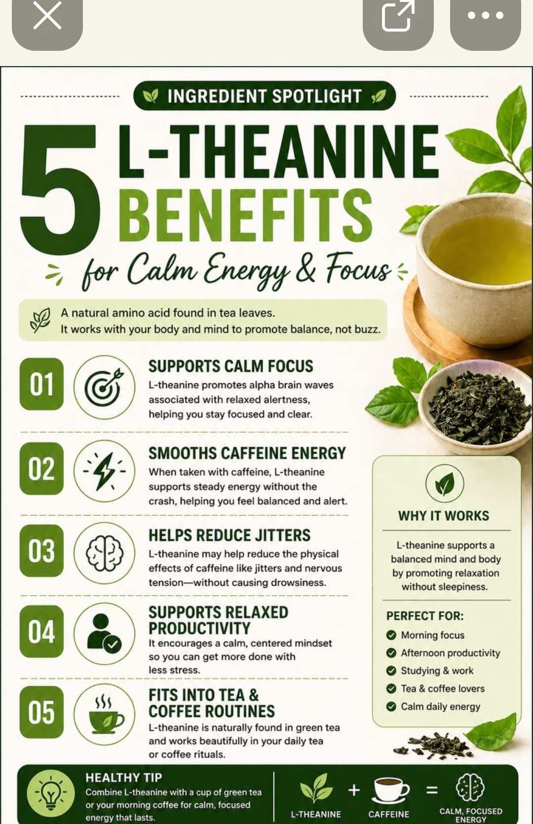 5 L-Theanine Benefits — calm focus, smooths caffeine energy, reduces jitters, supports relaxed productivity, fits into tea and coffee routines