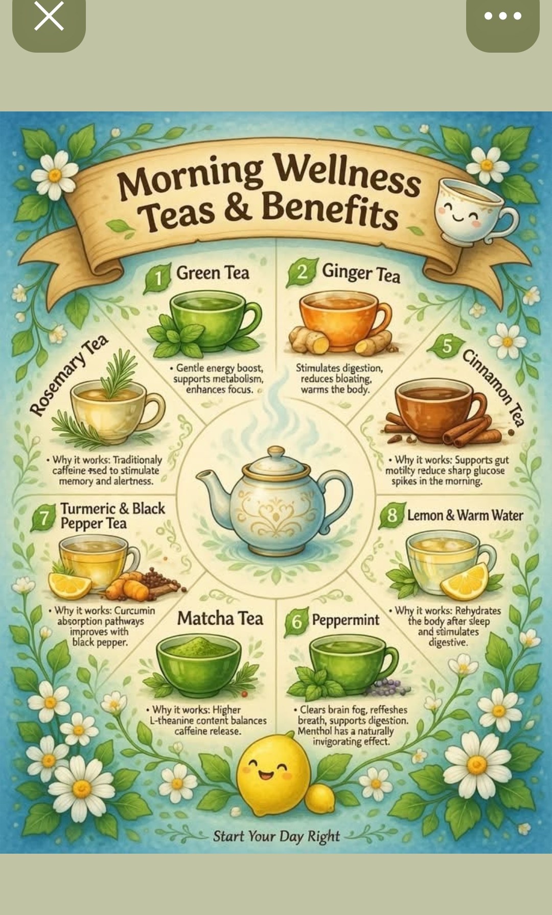 Morning Wellness Teas and Benefits — green tea ginger rosemary matcha cinnamon peppermint turmeric lemon and warm water — start your day right