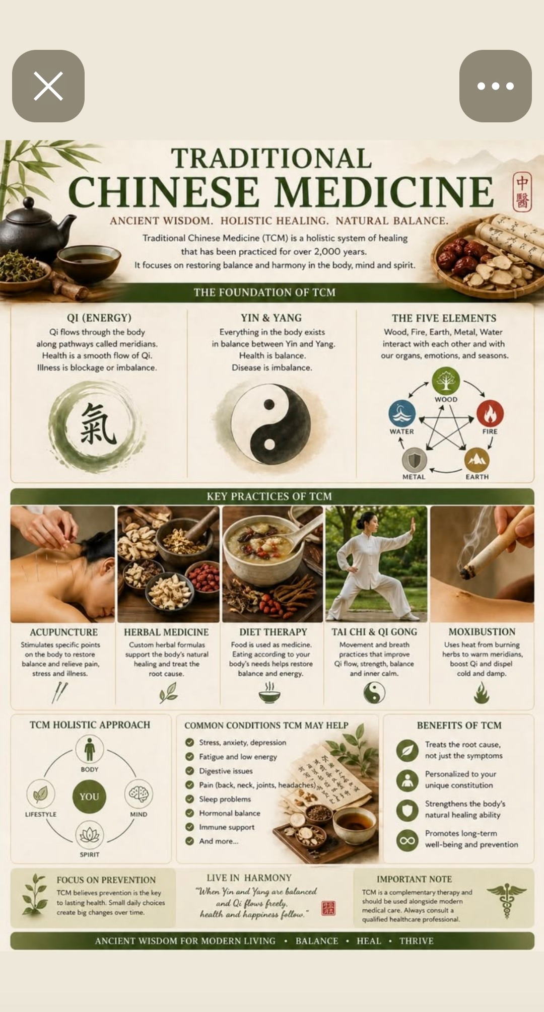 Traditional Chinese Medicine — ancient wisdom, holistic healing, natural balance — Qi energy flows through meridians, Yin and Yang balance, the Five Elements wood fire earth metal water — key practices acupuncture, herbal medicine, diet therapy, tai chi and qi gong, moxibustion