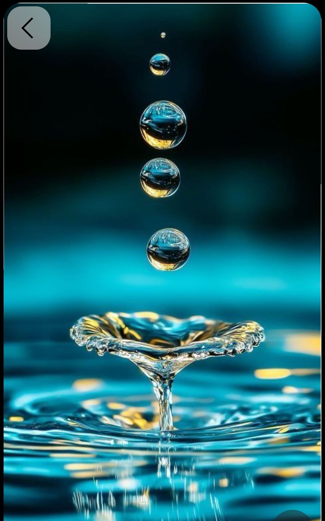 Water droplet macro photography — the geometry of water in perfect suspension, teal and gold, nature's most precise medicine