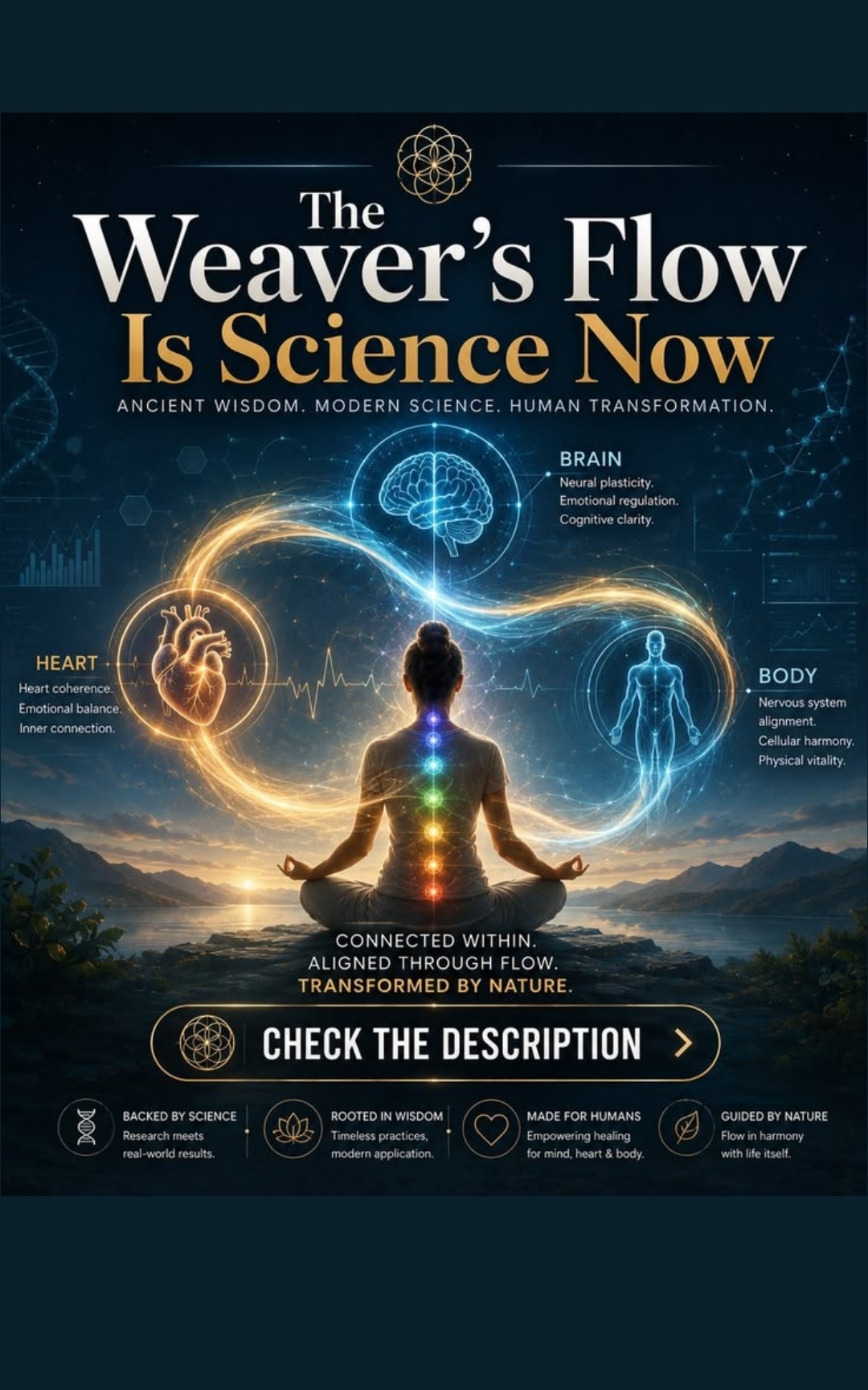 The Weaver's Flow Is Science Now — ancient wisdom, modern science, human transformation, brain heart and body connected within